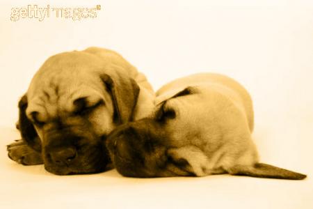 Mes amis....